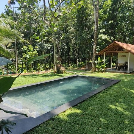 Pool Villa - The Humming Trees, Pala Lālam Exterior foto